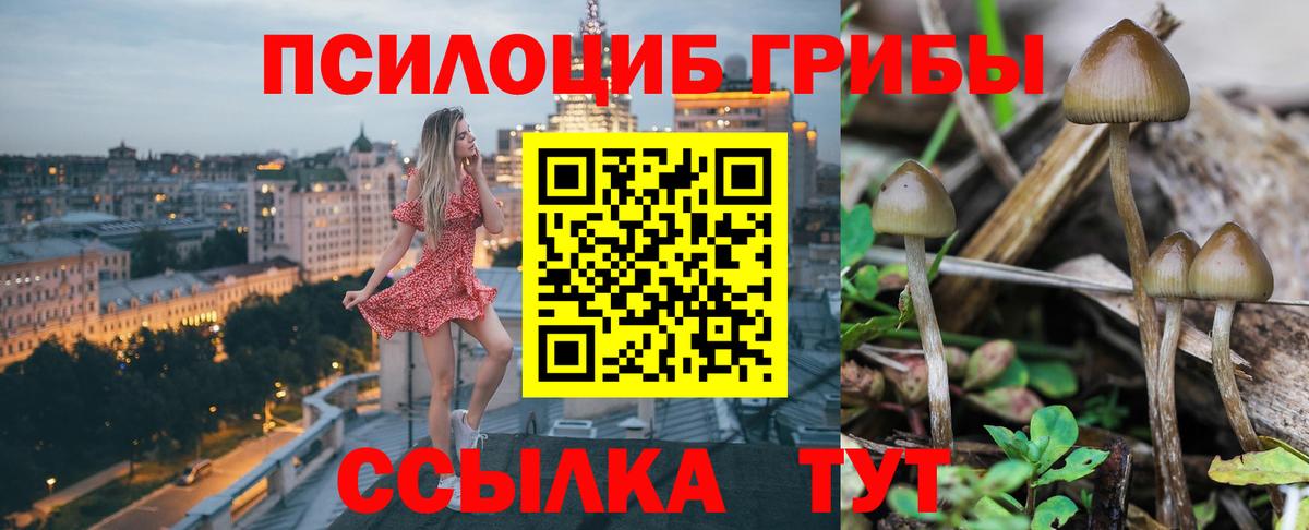 Лангепас  Псилоцибиновые грибы GOLDEN TEACHER  Вход с VPN  Псилоцибиновые грибы Psilocybine cubensis 